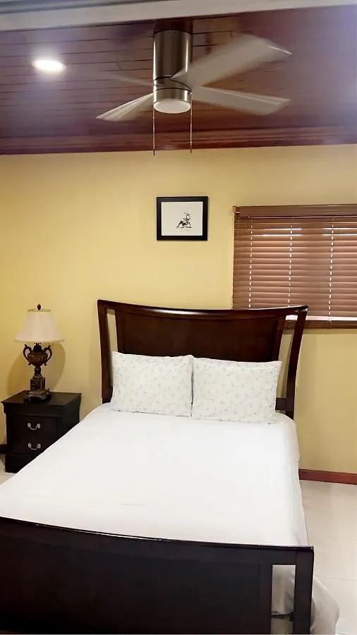 Luxury One Bed Room Apartment Nassau Bahamy